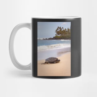 Green Sea Turtle Hawaii Mug